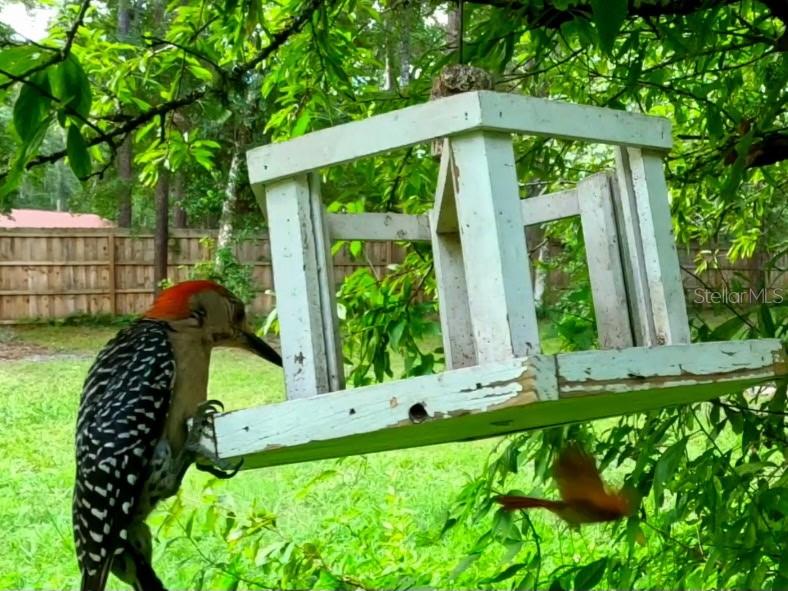 CEDAR LANE SITES - Residential