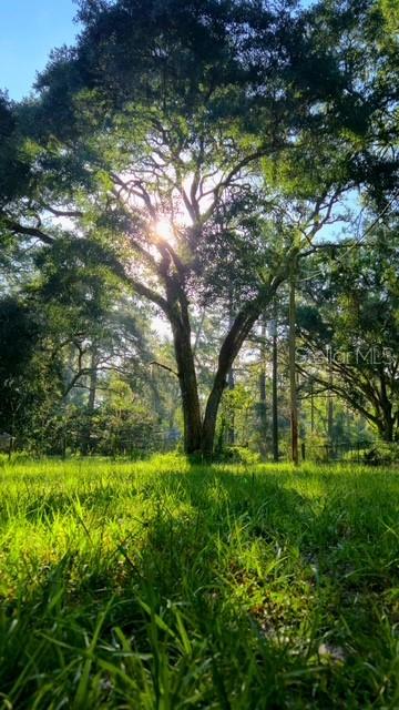 CEDAR LANE SITES - Residential