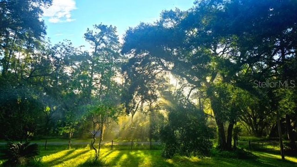 Photo of 5043 Goodwin Road, Brooksville, FL 34601 (MLS # W7880904)