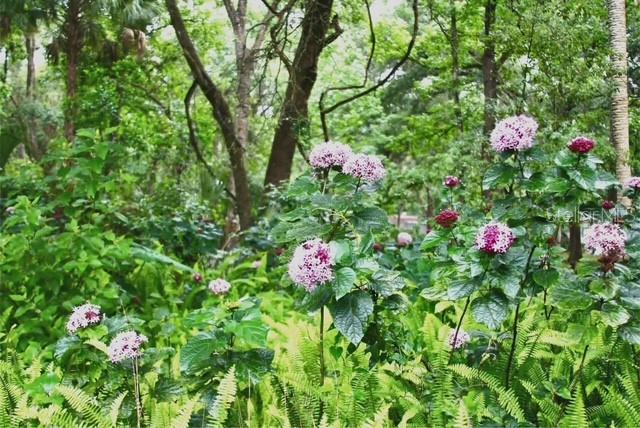 CEDAR LANE SITES - Residential