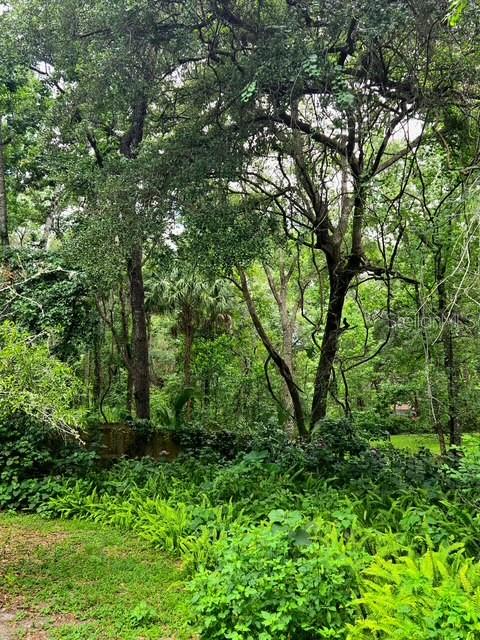 CEDAR LANE SITES - Residential