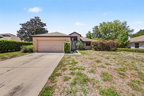 4750 ABACO DRIVE TAVARES FL 32778