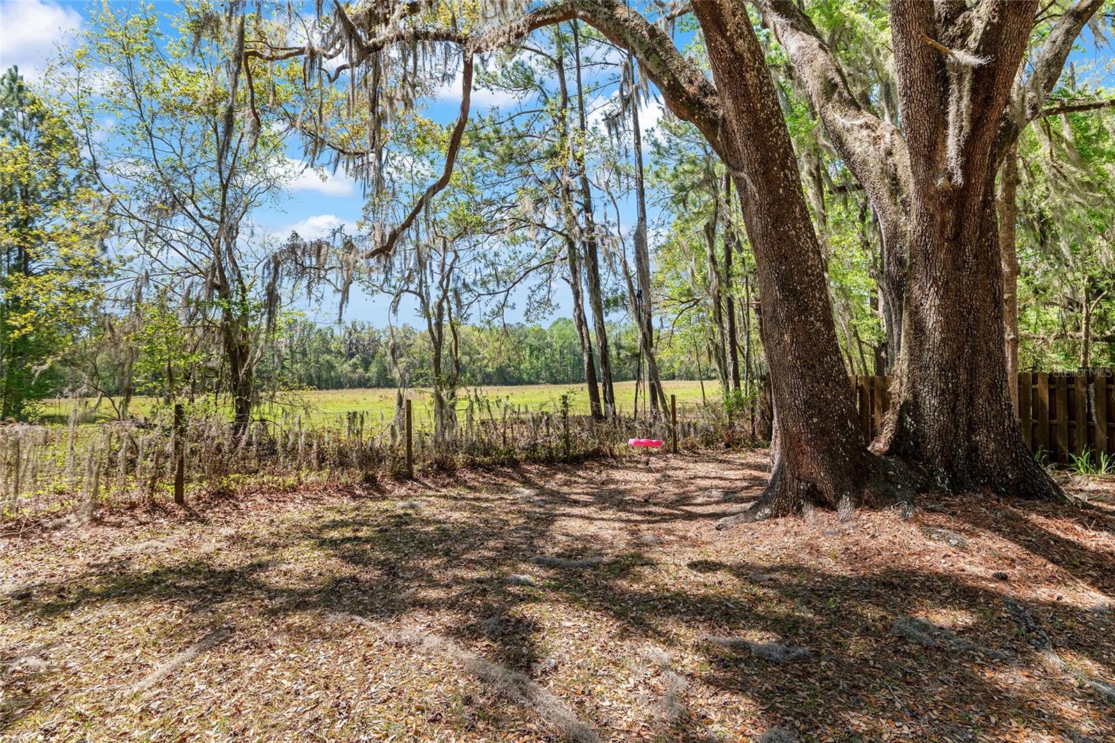 HAMILTON HEIGHTS - Residential