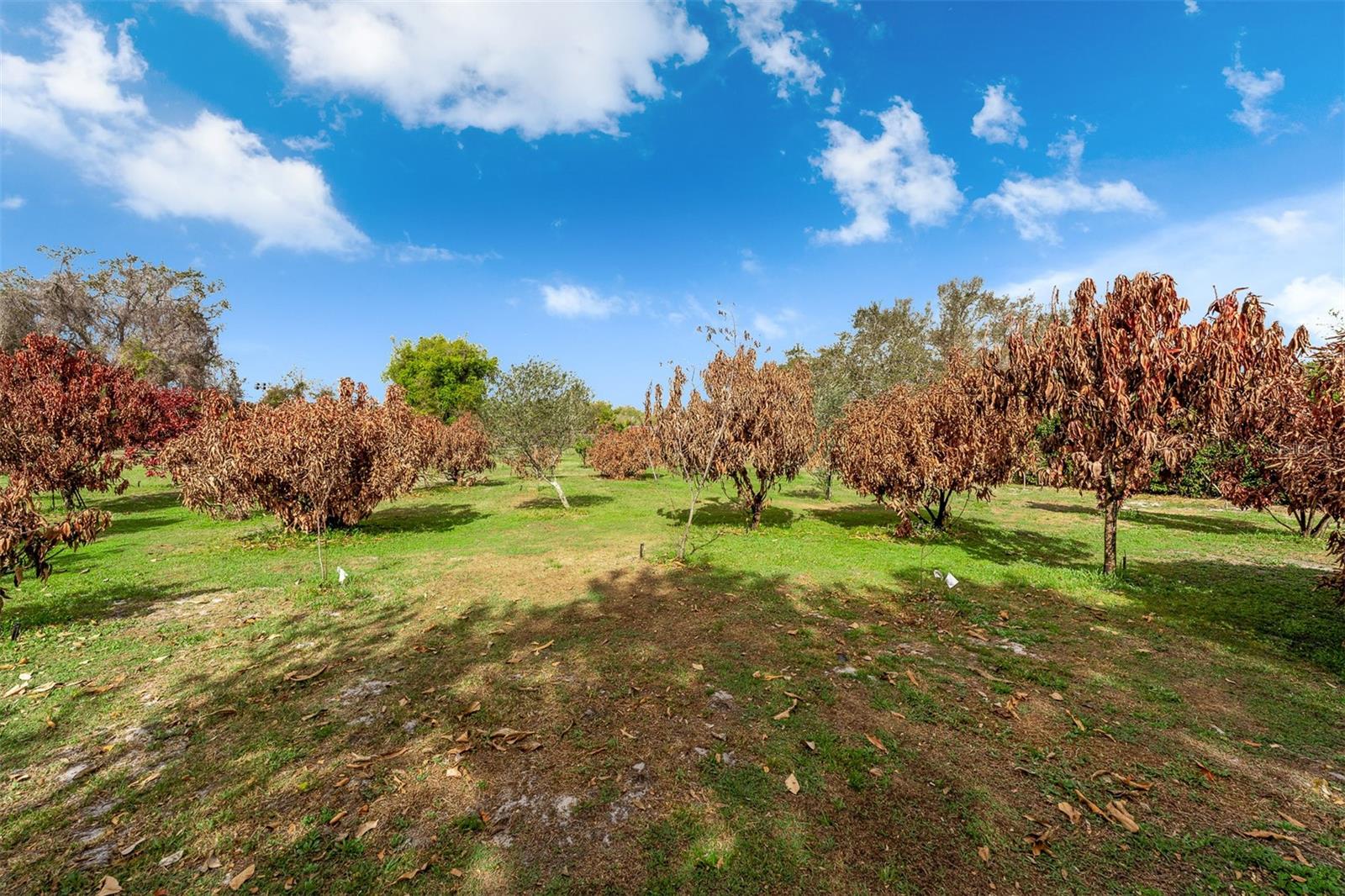 ROYAL RANCH ESTATES FIRST ADD - Residential