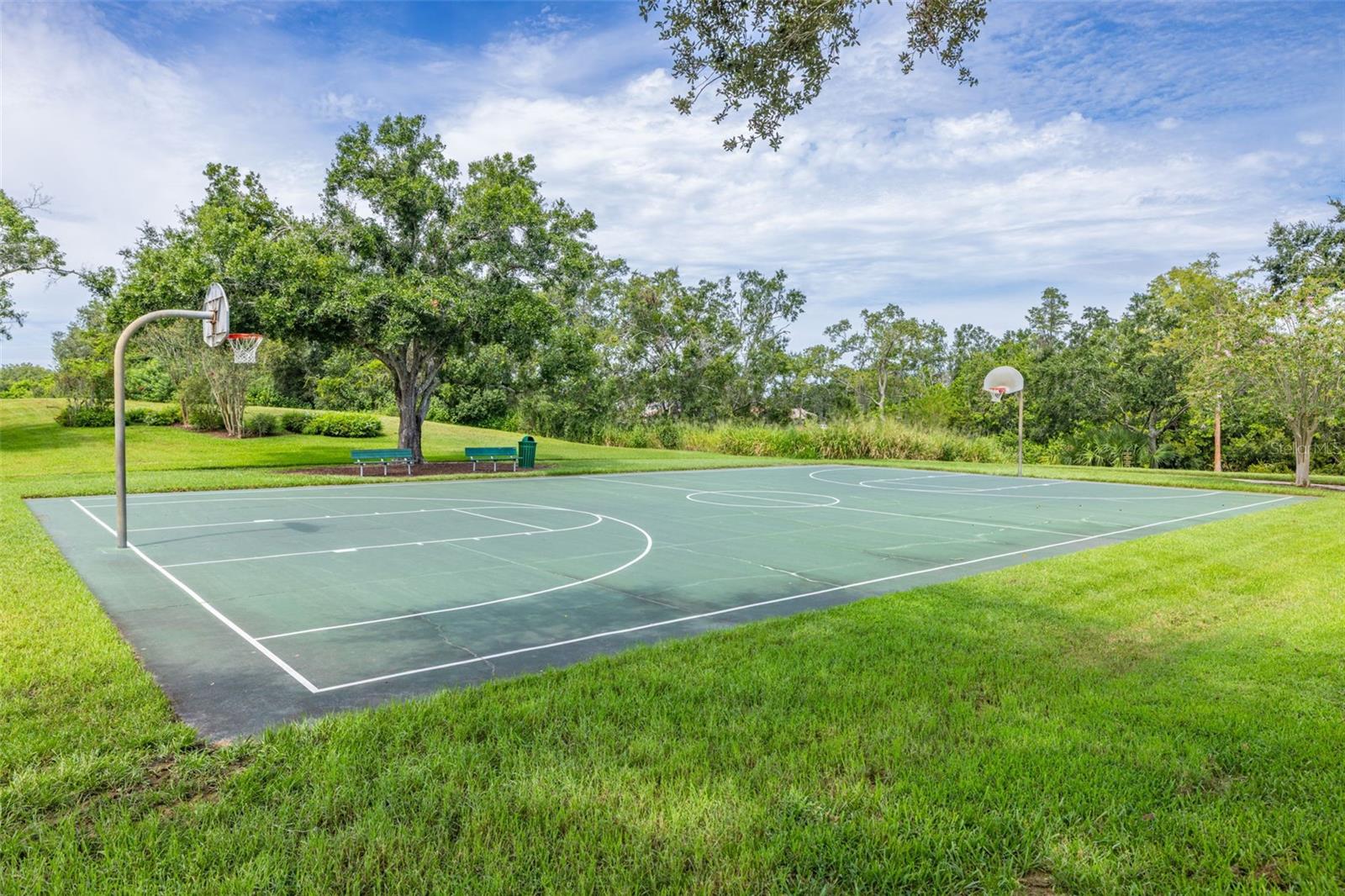 CARROLLWOOD VILLAGE PH III - Residential