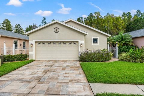 A home in LAND O LAKES