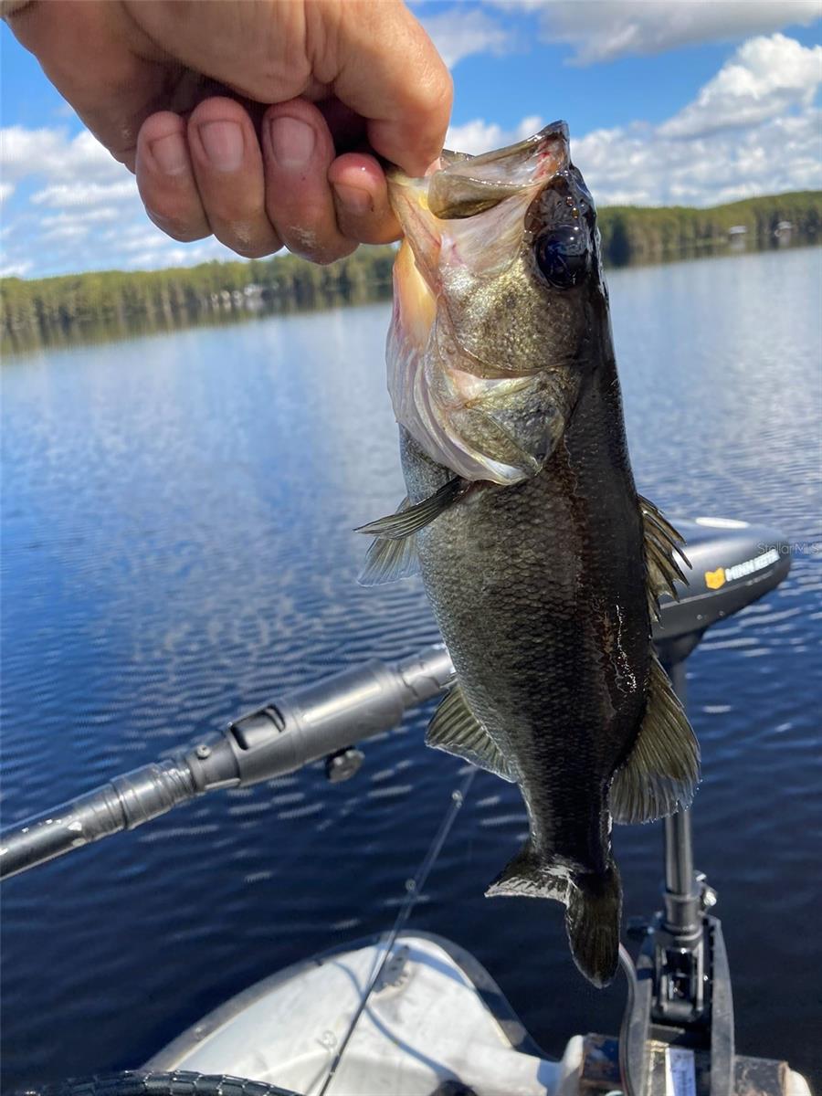 WITHLAPOPKA ISLANDS UNIT 03 - Residential