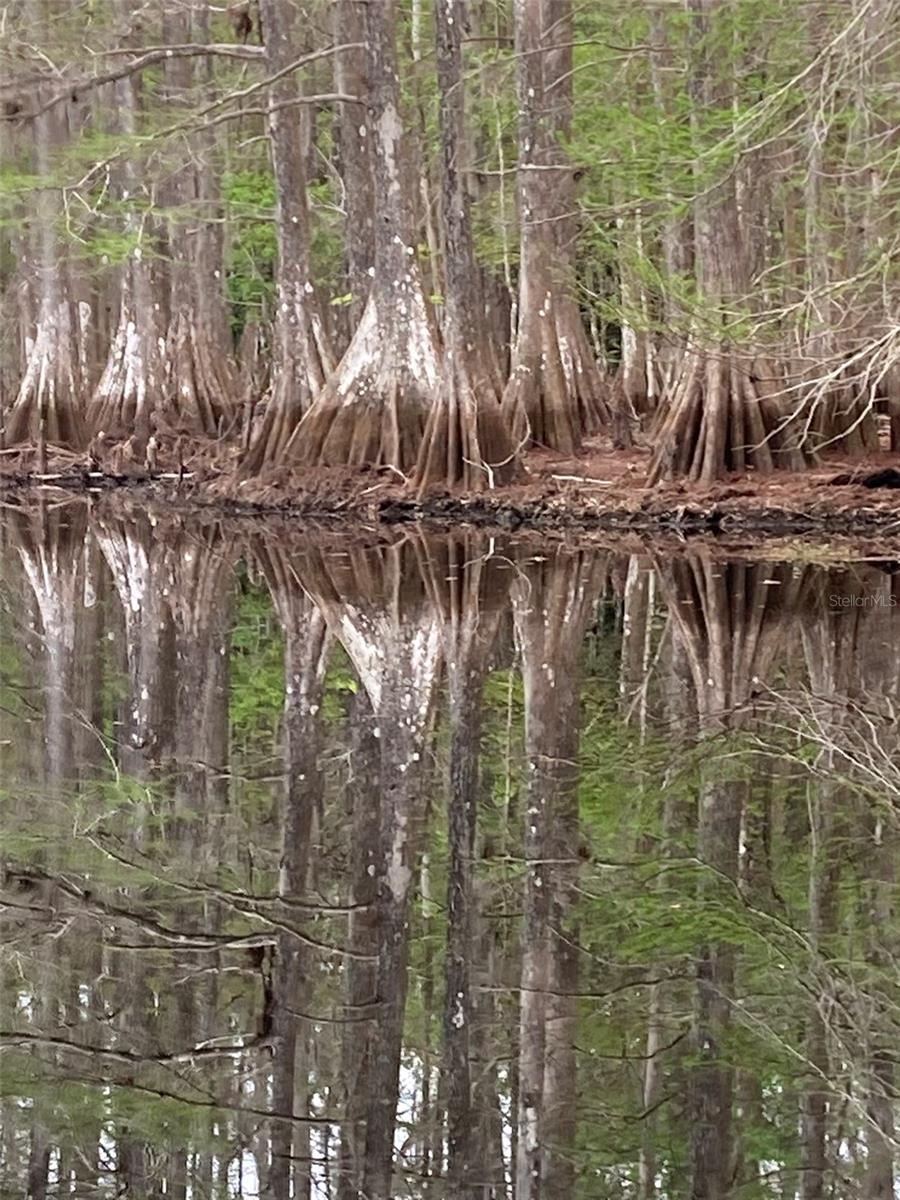 WITHLAPOPKA ISLANDS UNIT 03 - Residential