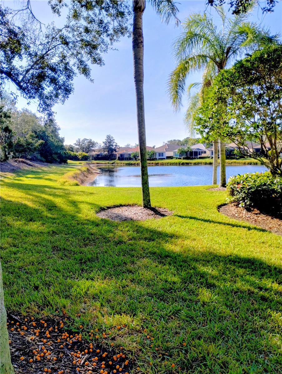 5242 PARISIENNE PLACE 201B30