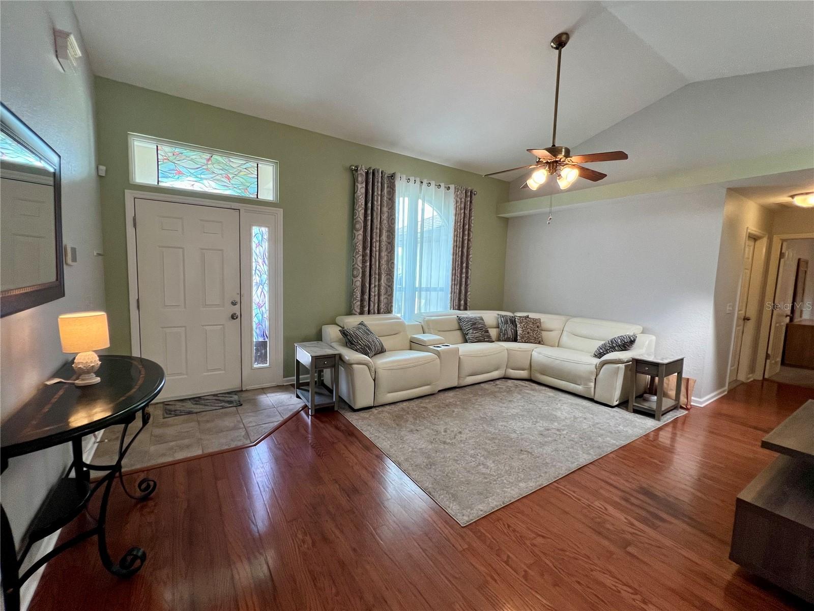 503 PHILODENDRON