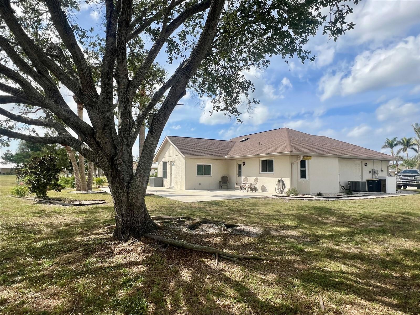503 PHILODENDRON