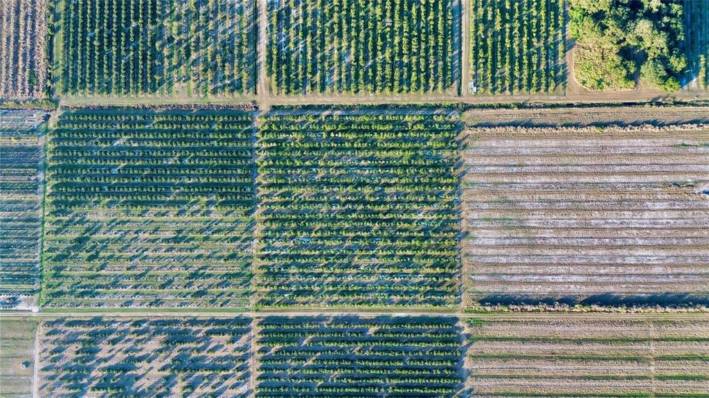 Photo of 1050 Arbuckle Creek Road, Lorida, FL 33857 (MLS # L4957952)