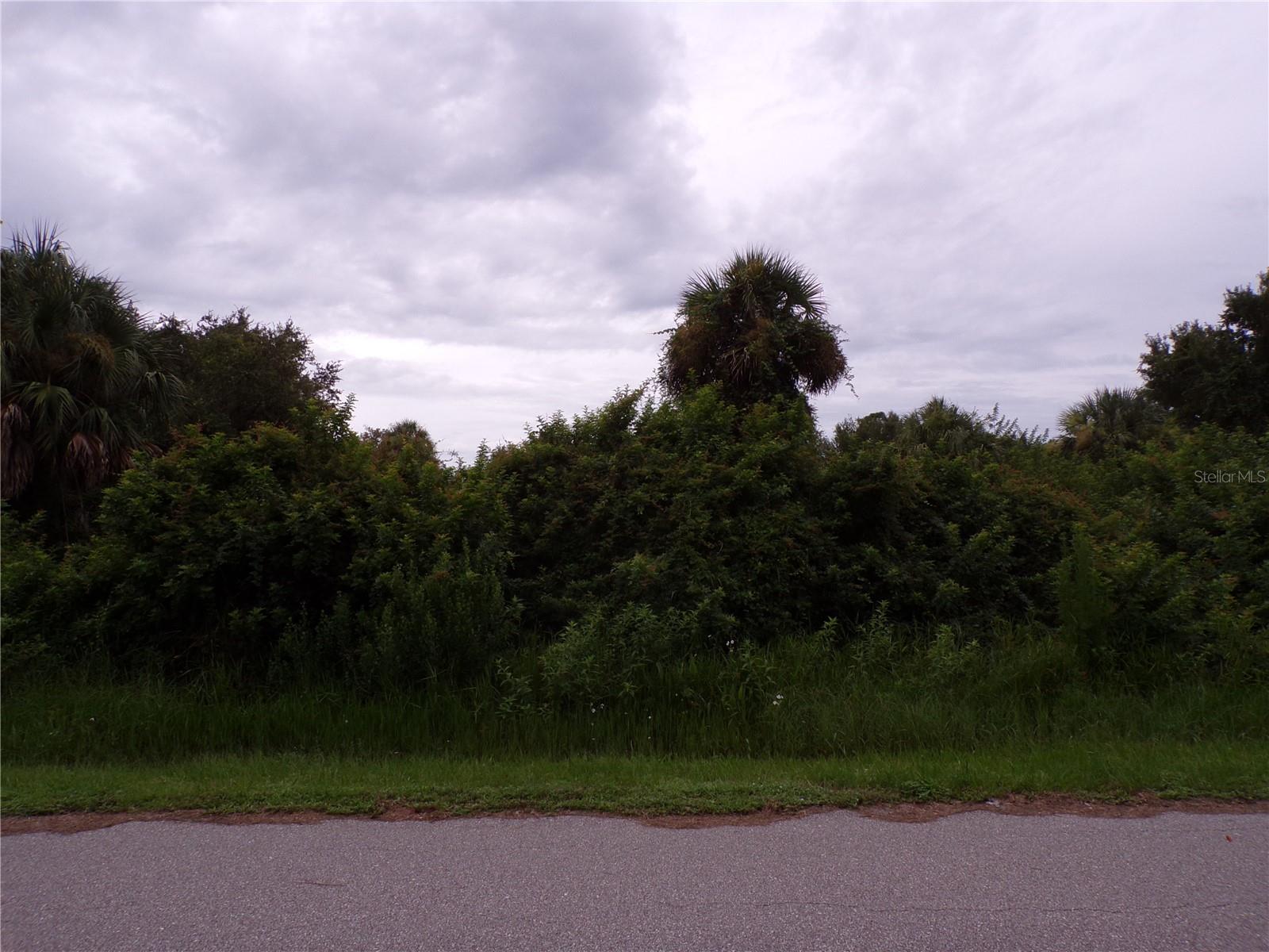 This lot is on a quiet street that would be a great place to build your dream home and retire or raise your family. Less than 3 miles to I75 makes this location an easy commute to almost anywhere, and only 31 miles to Chadwick park at Englewood Beach with amazing sunsets, 14 miles to Port Charlotte Town Center and only 5 miles Punta Gorda Historic district and waterfront park with lots of shopping and dining options. Tampa Bay Rays spring training and the fairgrounds are just minutes away, also multiple golf courses and some of the best boating and fishing in all of Florida. Red Soxs, Orioles, Twins and Braves spring training all within an hour’s drive. Buyer and buyers rep responsible for determining environment conditions and endangered species restrictions. This lot is priced to sell so please call for availability! This lot is at a great price point for the investor call today.