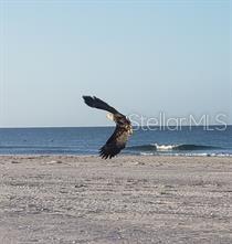 BEACH VILLAS BLDG 33 - Residential