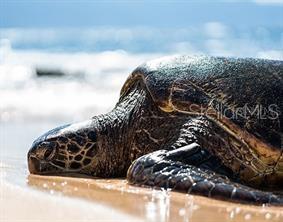 BEACH VILLAS BLDG 33 - Residential