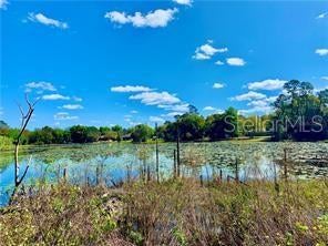 125 MATANZAS RD, DEBARY, FL 32713 - Image 58d32a514c5d598a2a46471abdc3b0aa/2170252593
