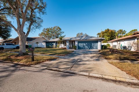 A home in SEMINOLE