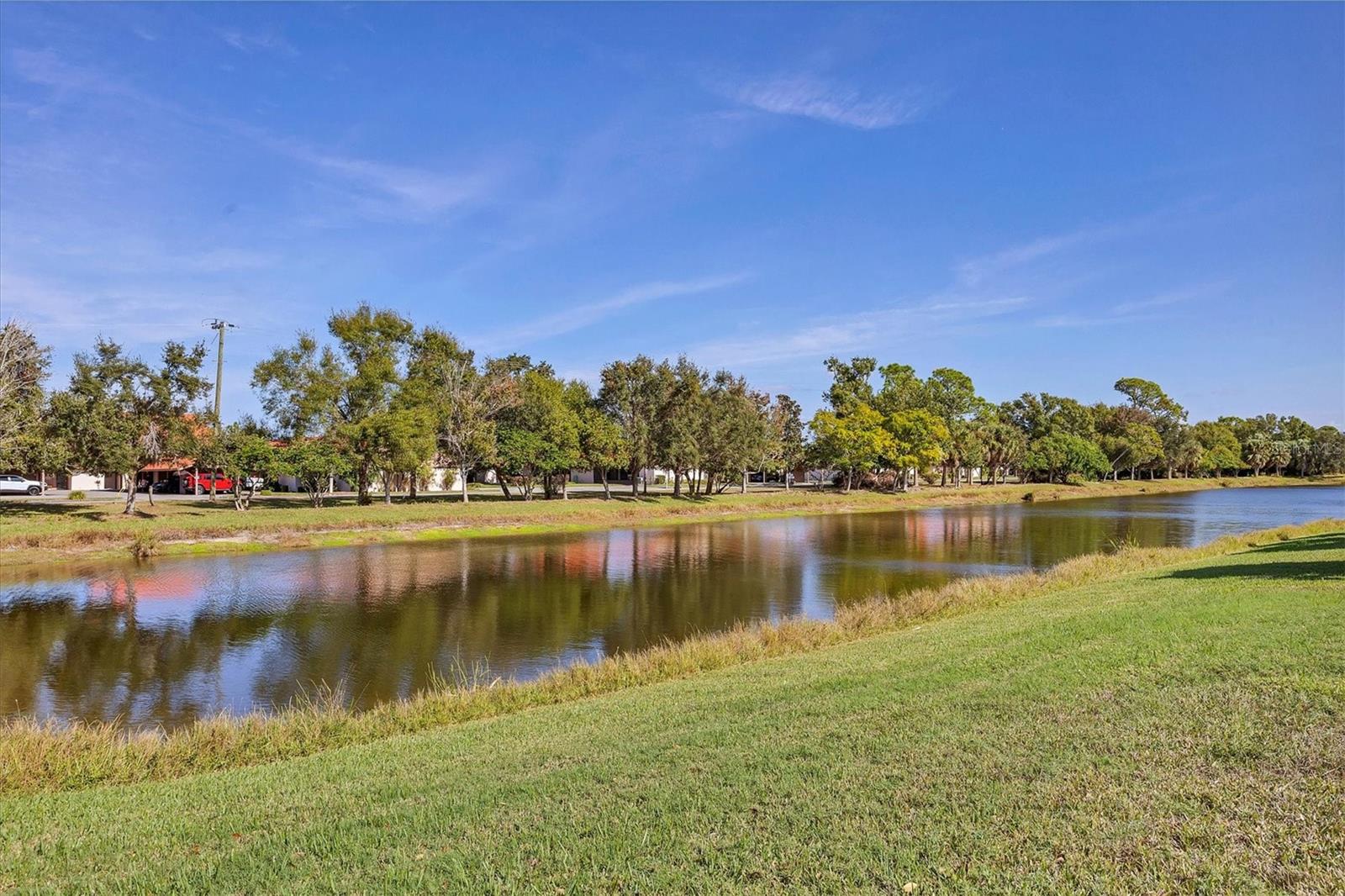 ARBOR LAKES ON PALMER RANCH - Residential