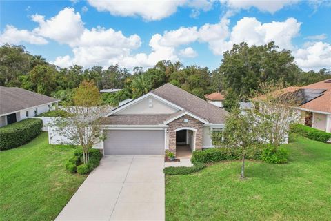 A home in DELAND