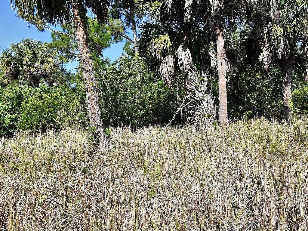 Photo of Dennis Street, North Port, FL 34286 (MLS # C7528451)