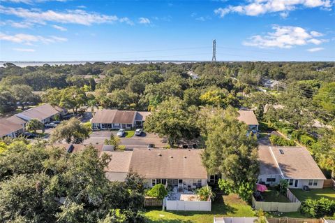 A home in SAFETY HARBOR