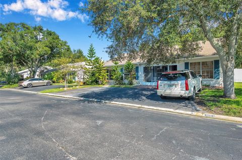 A home in SAFETY HARBOR