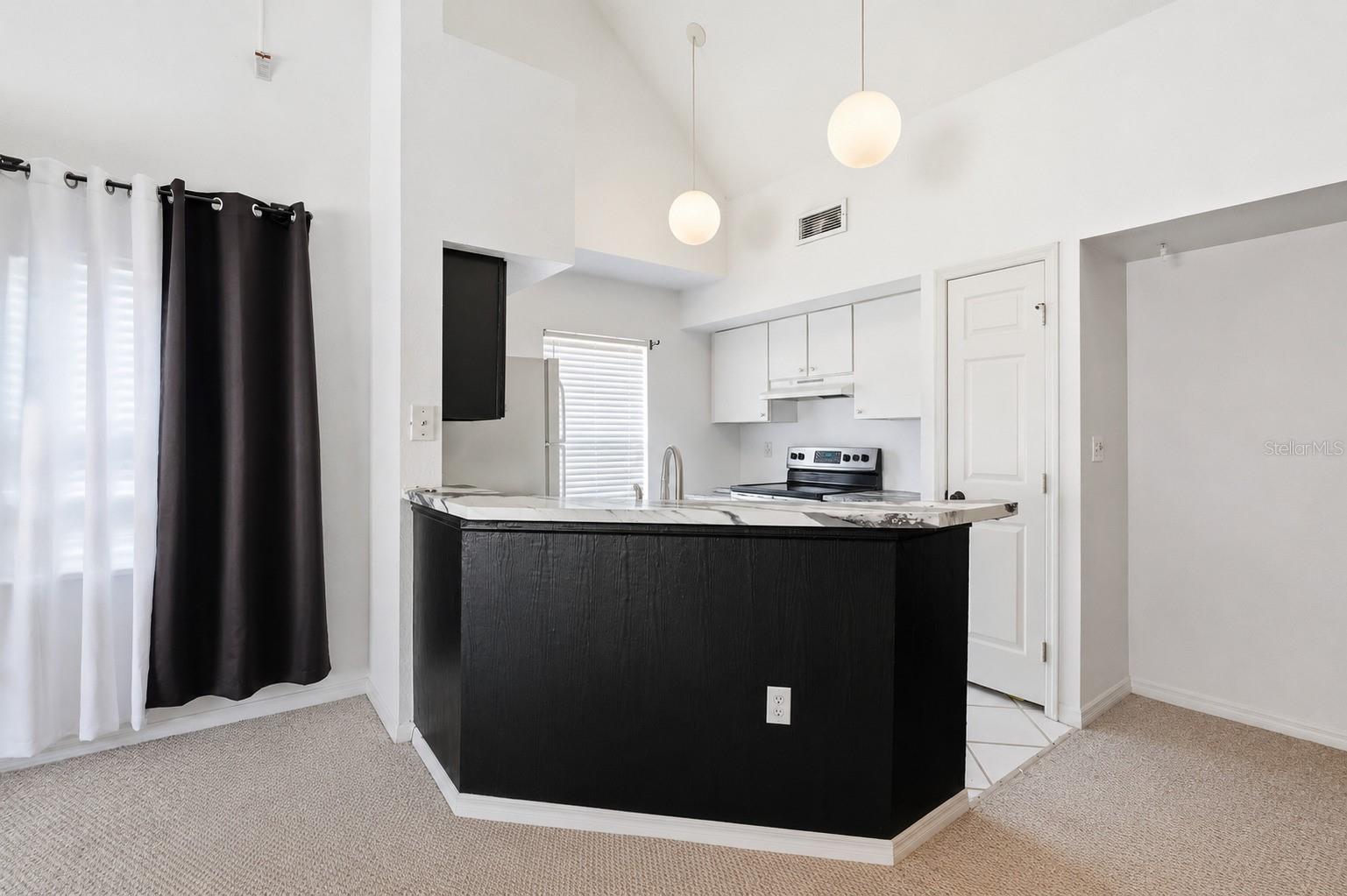 LAKE CHASE CONDO - Residential
