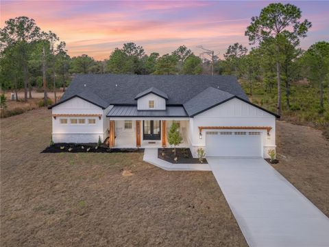 Photo of 42845 Honeysuckle Street, Eustis, FL 32736 (MLS # O6382384)