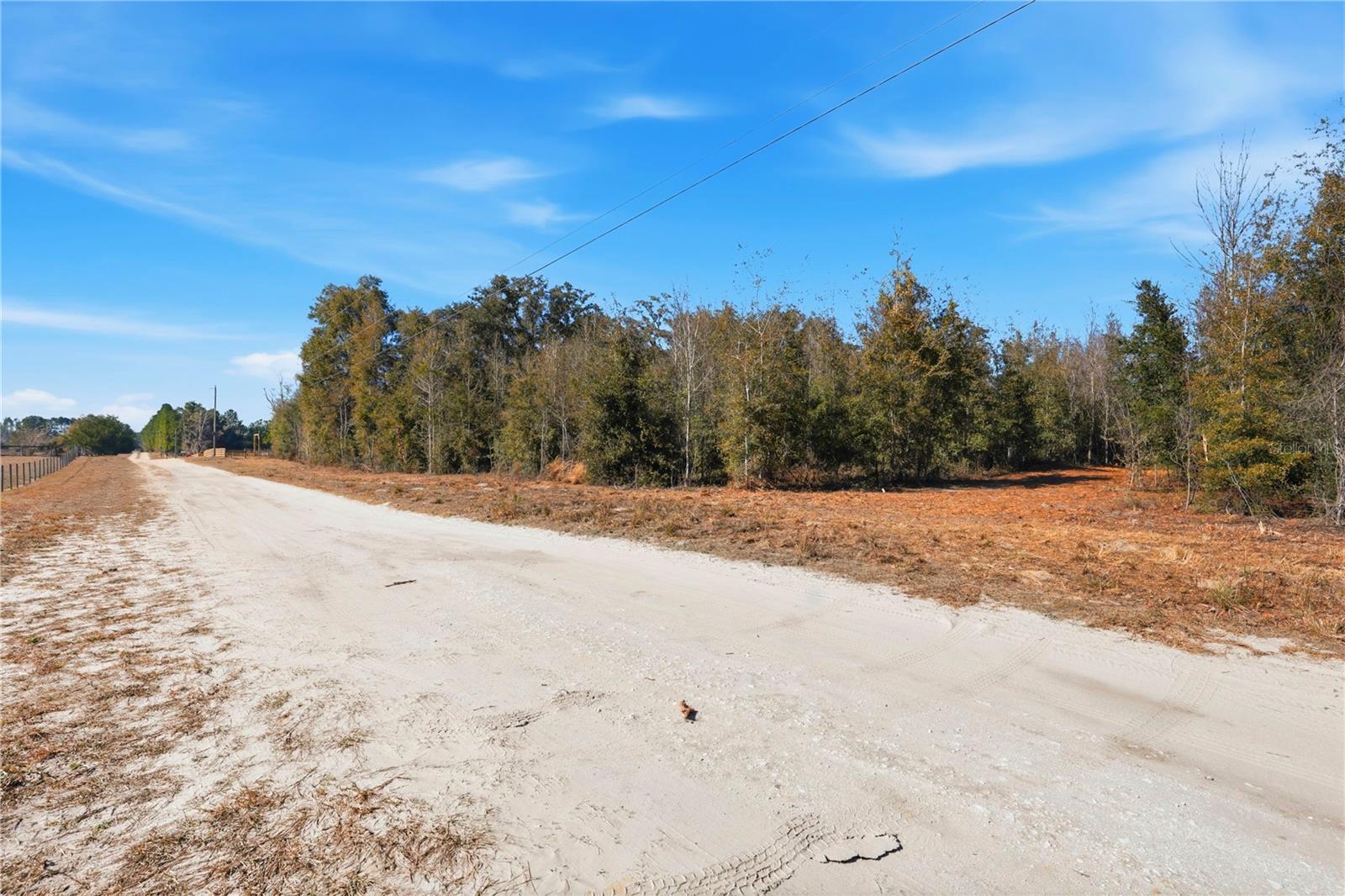 HOLIDAY FARMS - Land