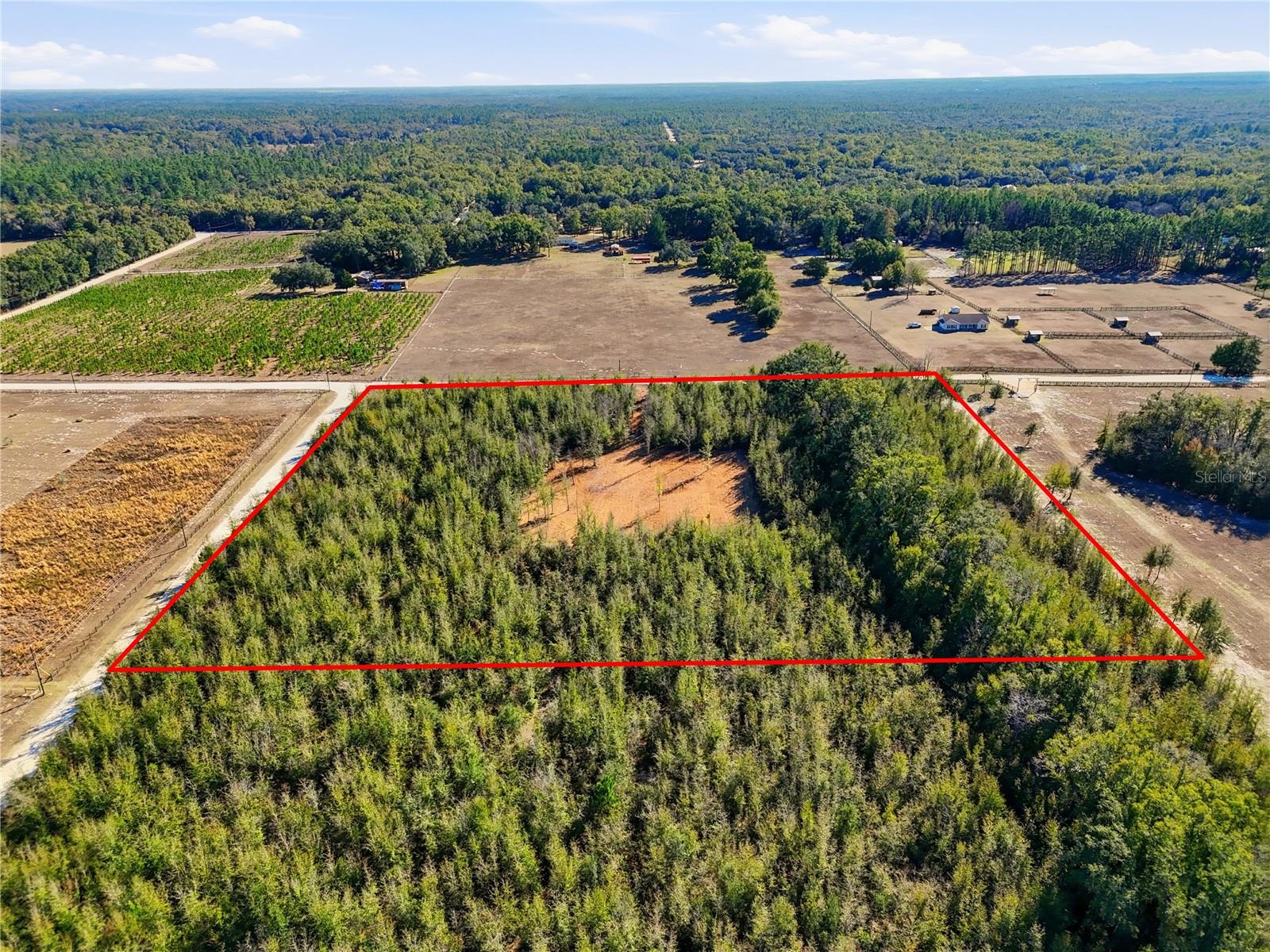 HOLIDAY FARMS - Land