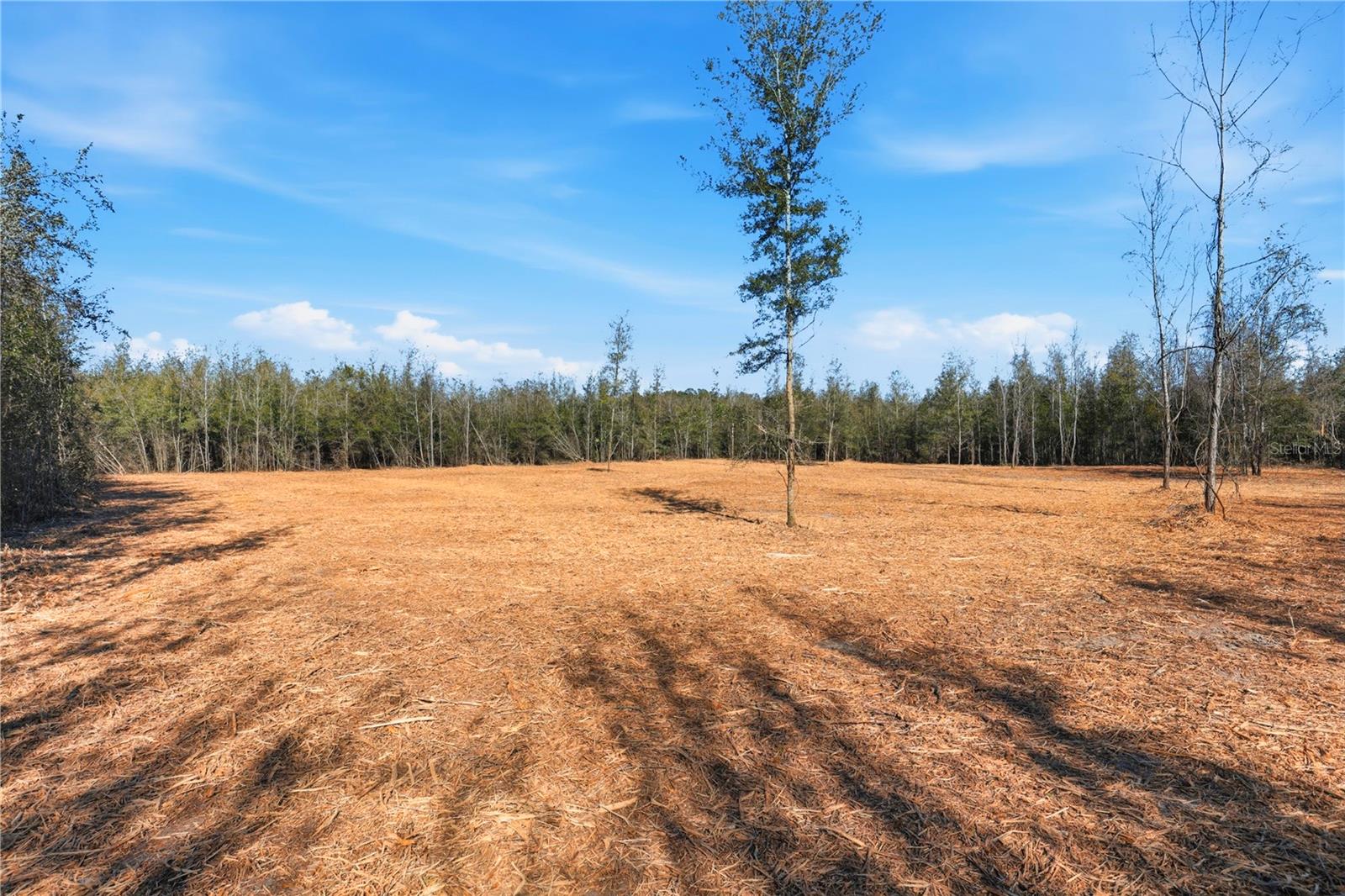 HOLIDAY FARMS - Land