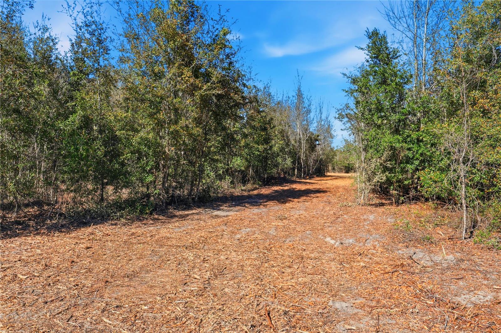 HOLIDAY FARMS - Land