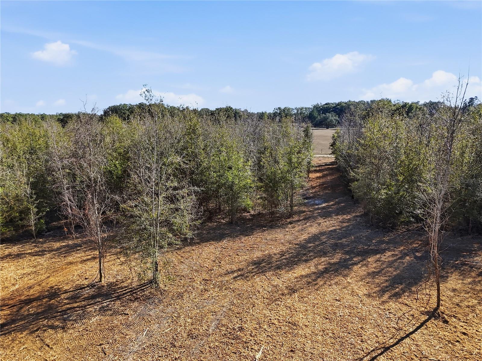 HOLIDAY FARMS - Land