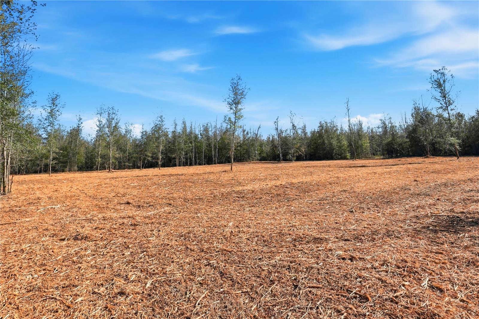 HOLIDAY FARMS - Land