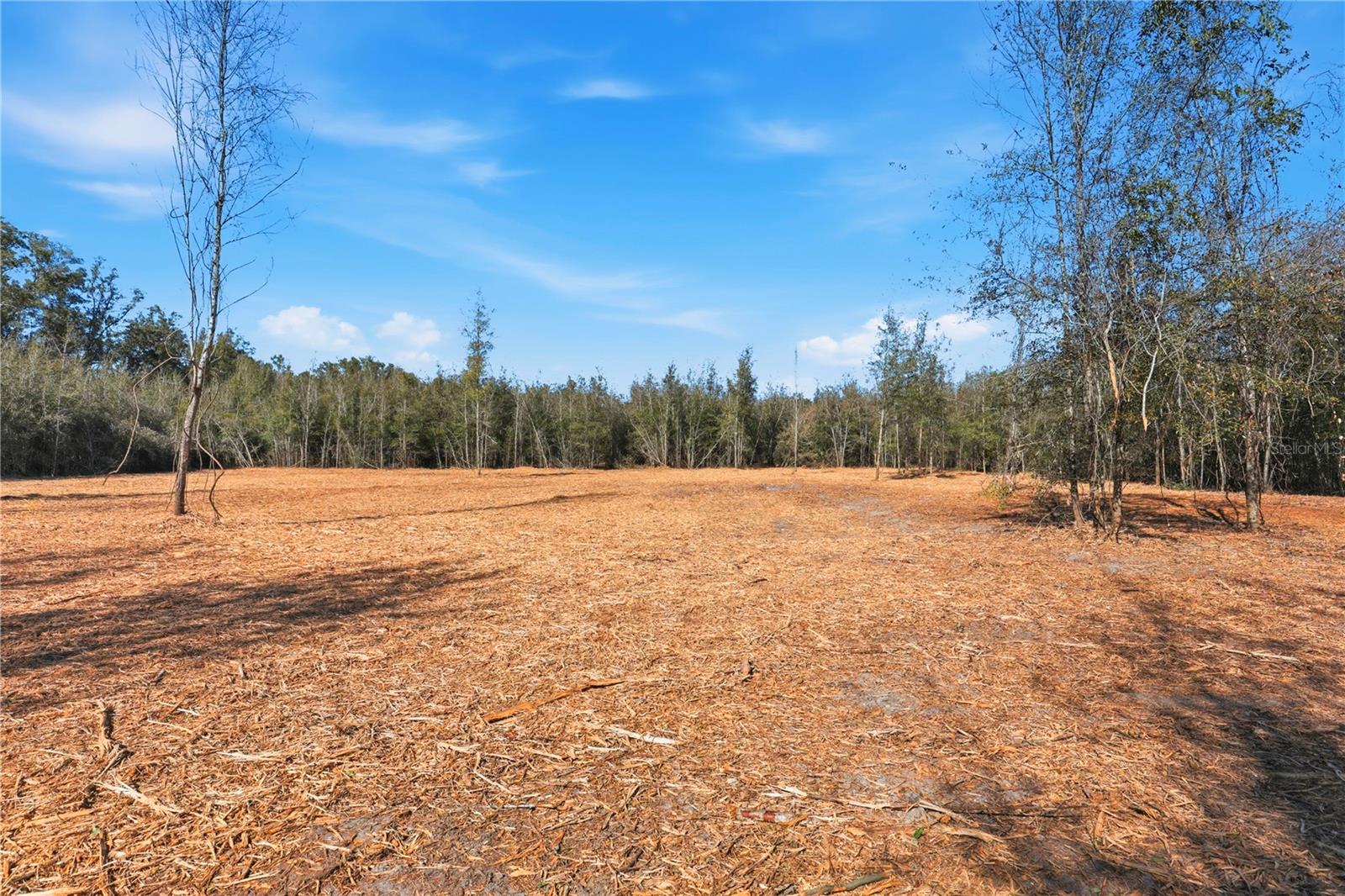 HOLIDAY FARMS - Land