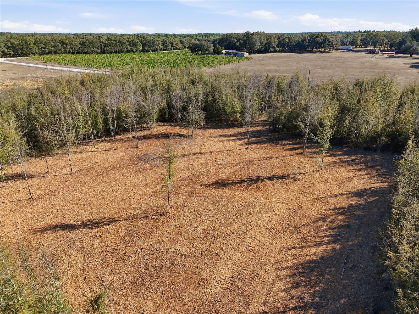 HOLIDAY FARMS - Land