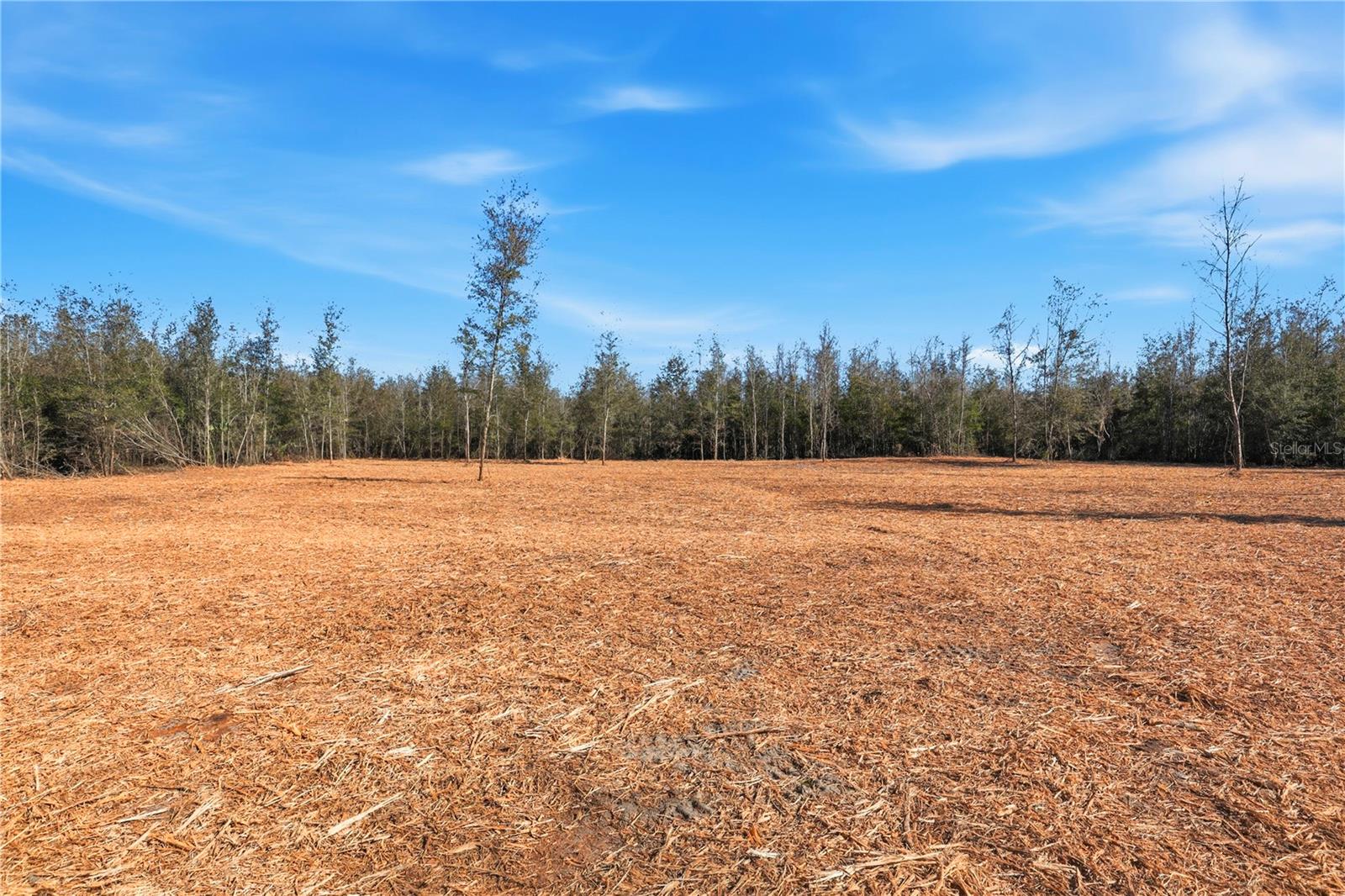 HOLIDAY FARMS - Land