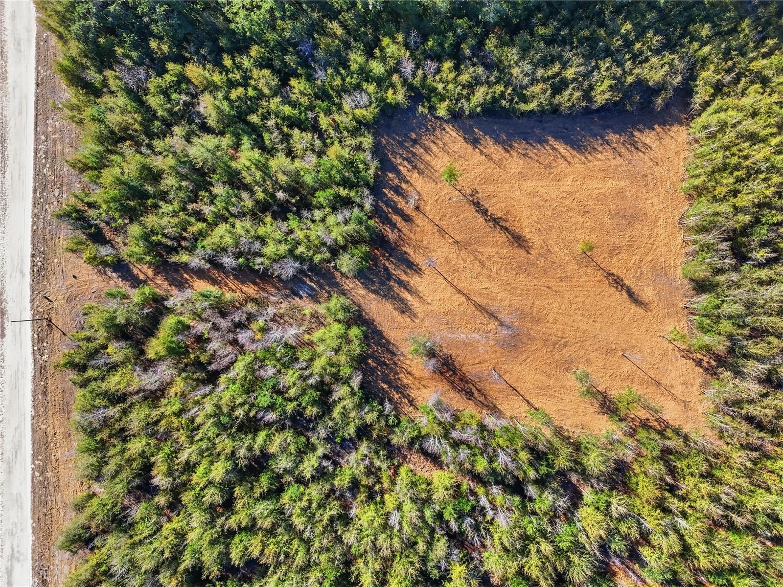 HOLIDAY FARMS - Land