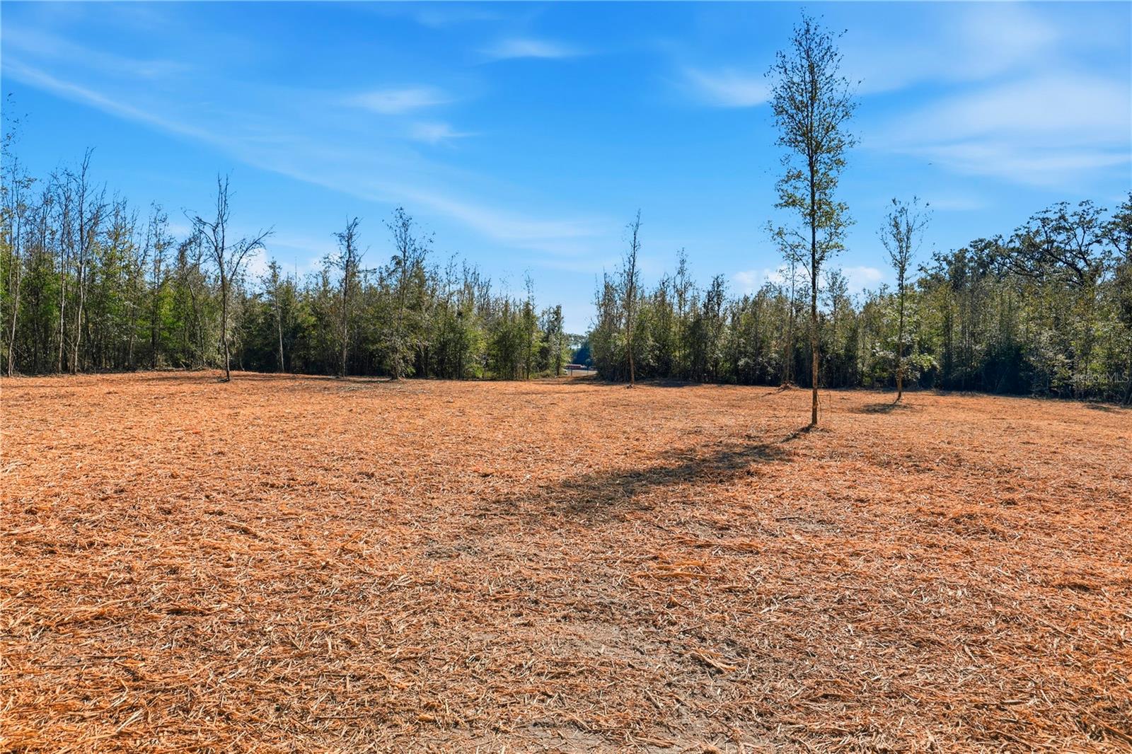 HOLIDAY FARMS - Land