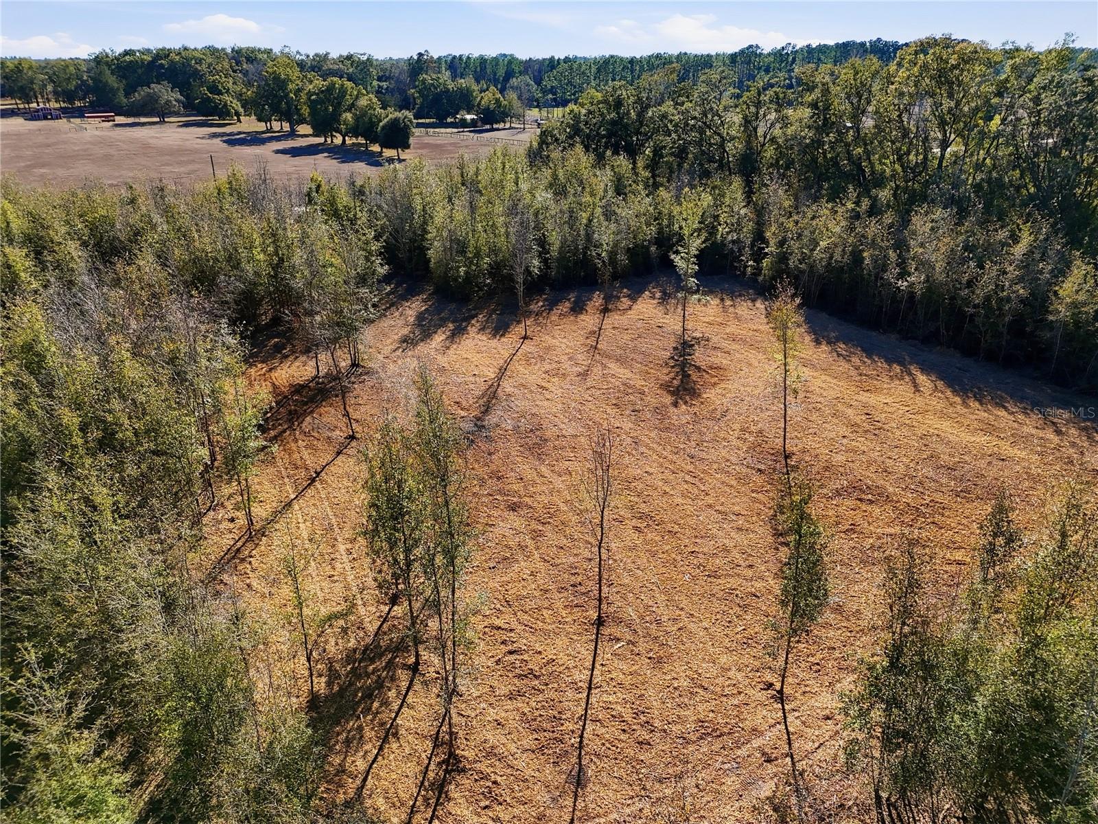 HOLIDAY FARMS - Land