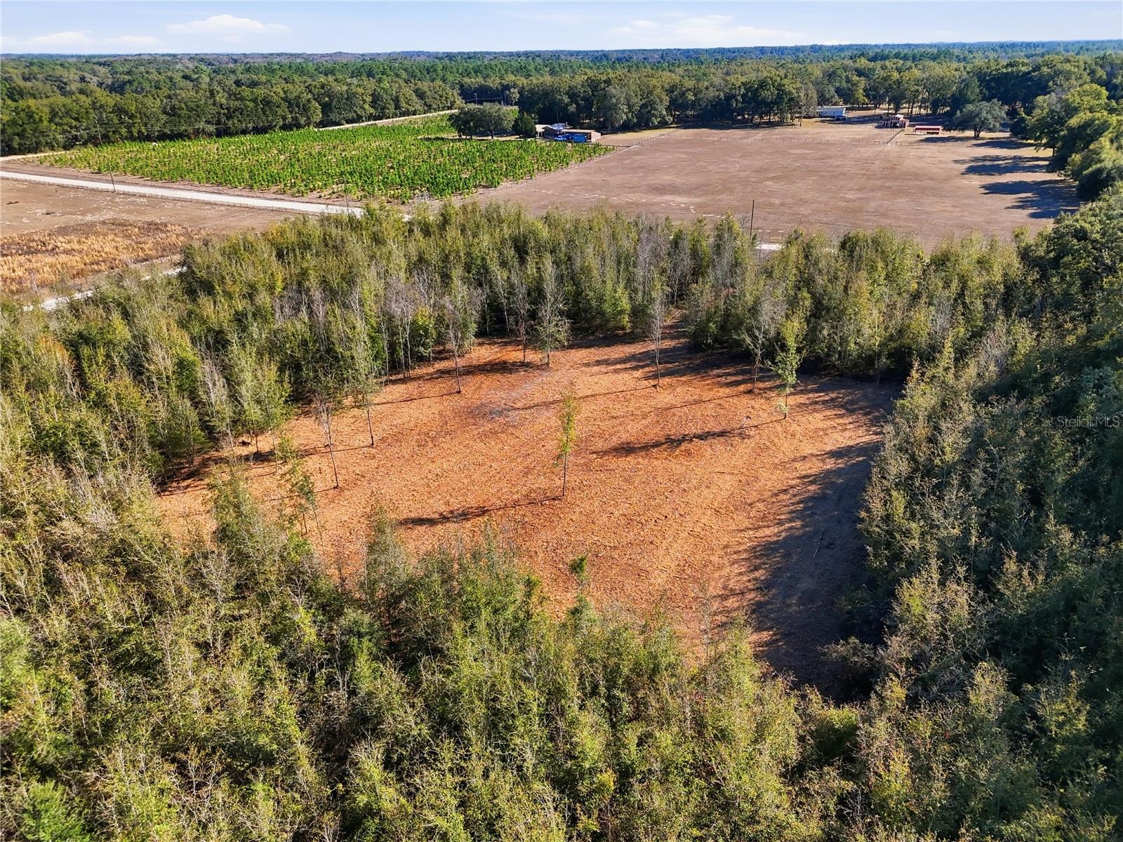 HOLIDAY FARMS - Land