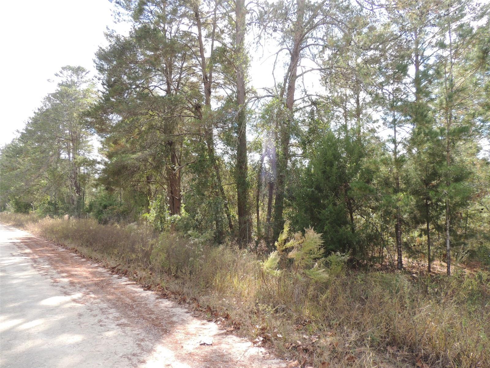 THE FARMS AT WILLISTON INC - Land