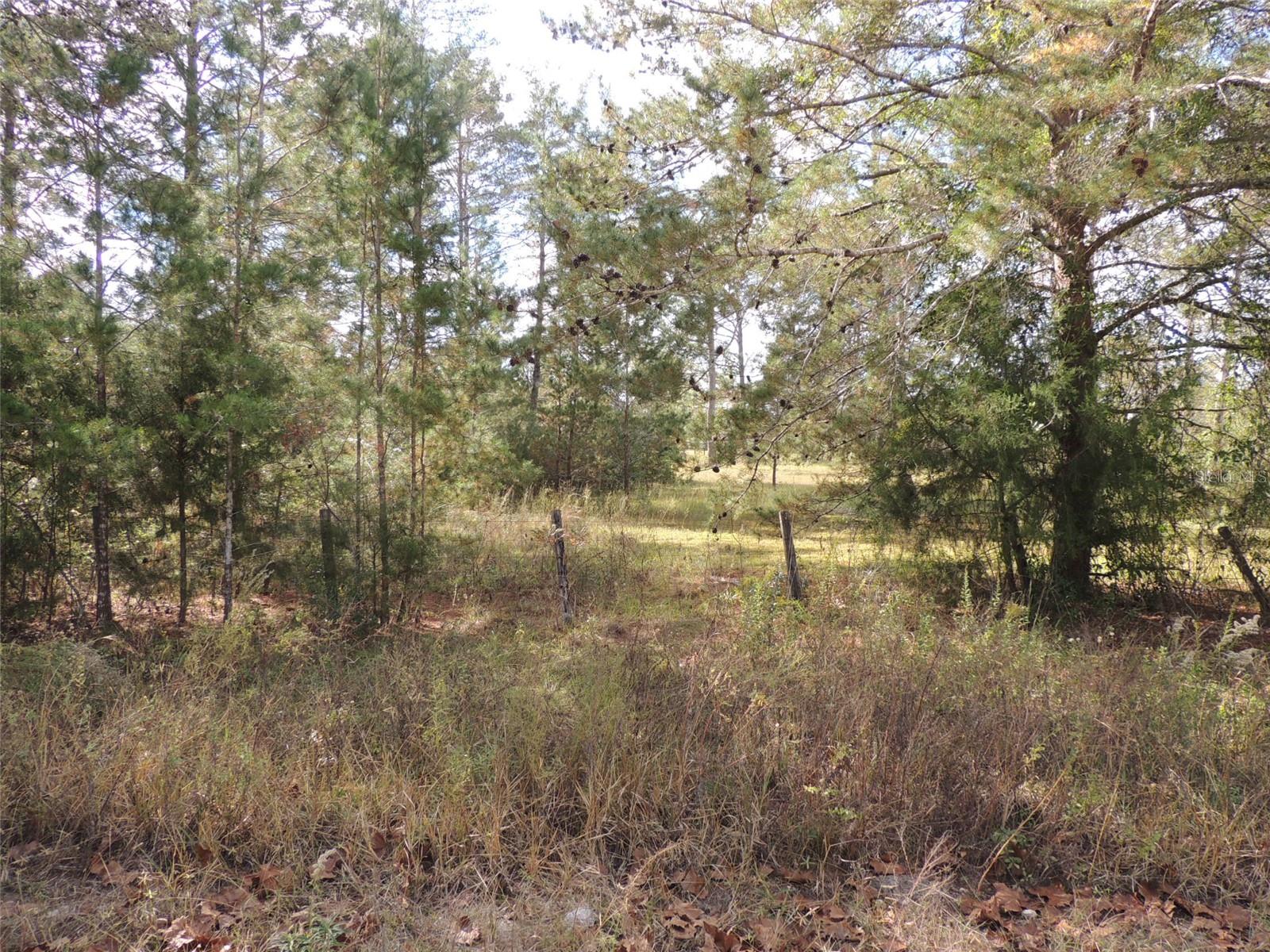 THE FARMS AT WILLISTON INC - Land