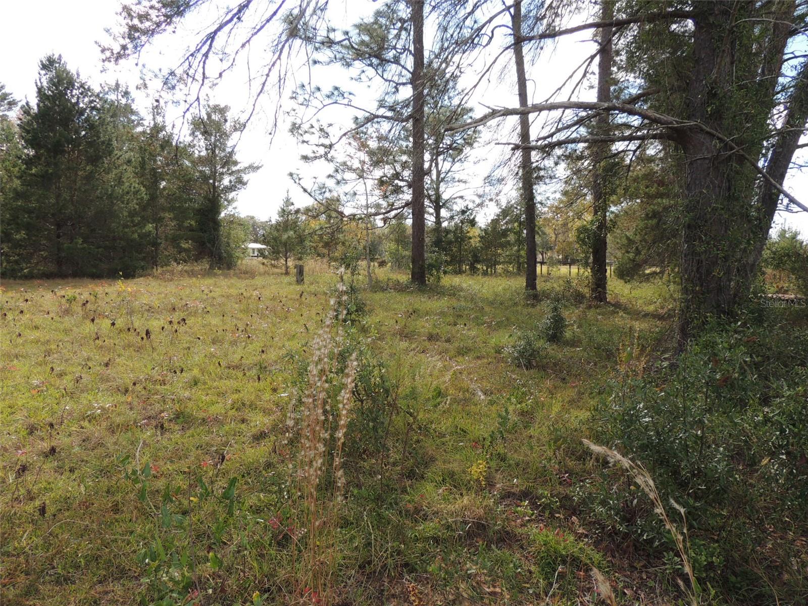 THE FARMS AT WILLISTON INC - Land