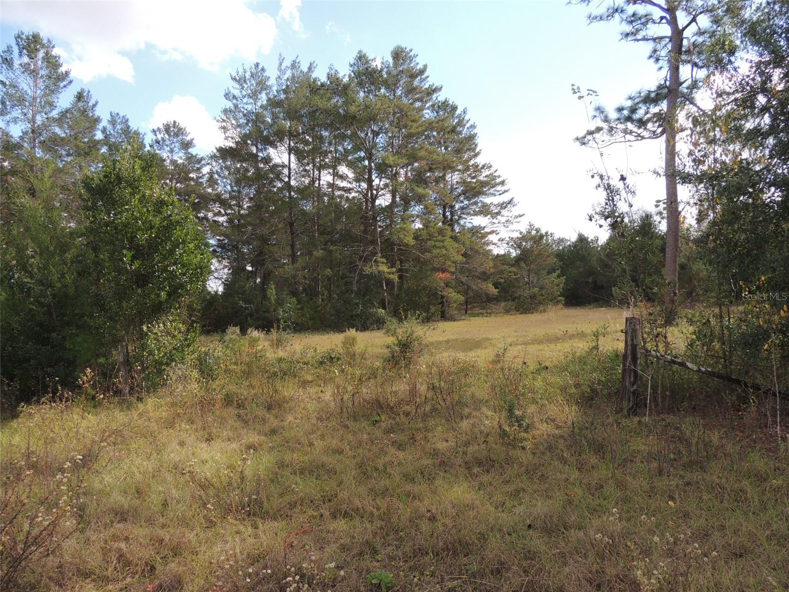 THE FARMS AT WILLISTON INC - Land