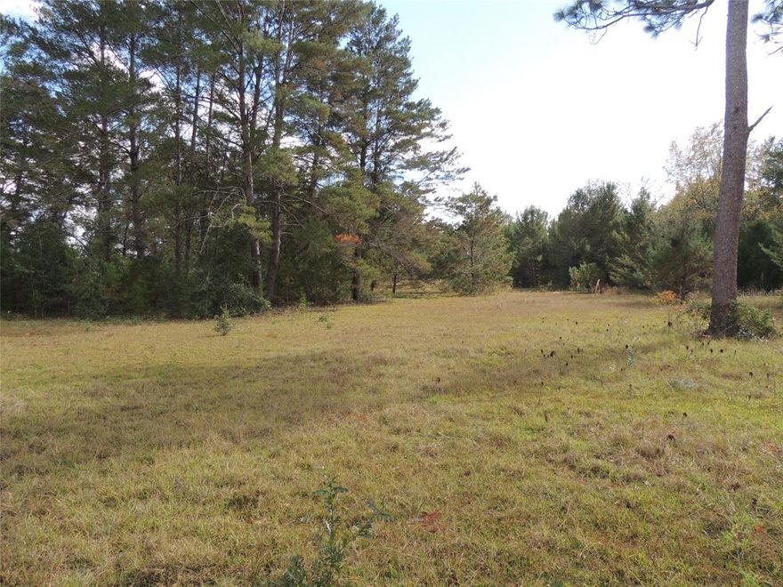 COUNTRY LIVING AT IT'S BEST! Selectively cleared 4.25 Acres with the nice trees left for shade. Located in The Farms At Williston subdivision in an area that are mostly site built homes. This corner lot is perimeter fenced. Looking to get away from city living this parcel is just 6 miles to Williston. Centrally located between Gainesville and Ocala where you can work, play or go to school and come home to the county of Levy county where the taxes are the lowest in North Central Florida. Close to Springs and the Gulf for fishing.