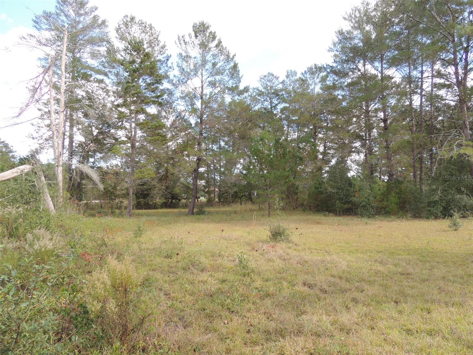 THE FARMS AT WILLISTON INC - Land