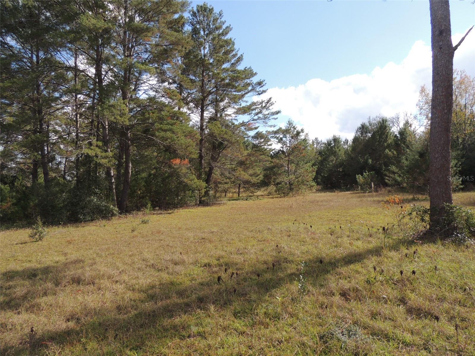 THE FARMS AT WILLISTON INC - Land