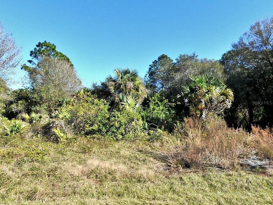 Short Sale. Opportunity to own an infill development lot. Streets are in place.. Prime Sarasota County, close to the coast and all things one would want. Build a beautiful home and enjoy sunny Florida.