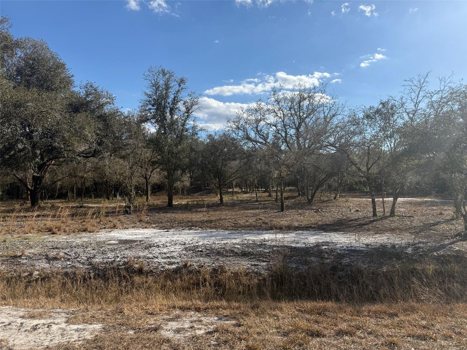 SOUTHERN COLONIZATION CO - Land